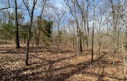 LAKEPOINTE DRIVE lot: 4, Clarkridge, AR 72623