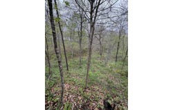 Tract 5 E Pine Road Common, Bloomfield, IN 47424