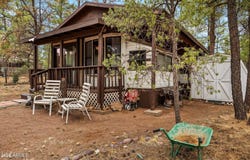 2164 S WOODS Drive, Overgaard, AZ 85933