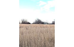 Viney Grove Road, Prairie Grove, AR 72753
