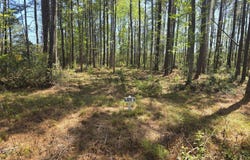Renee Drive lot: 1, Hampstead, NC 28443