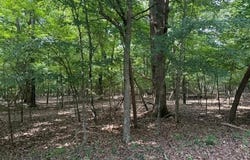 218 CR 472 lot: 40, Clarkridge, AR 72623
