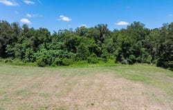 McAlpin, FL 32062