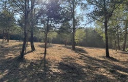 Sweed Road, Washington, TX 77880
