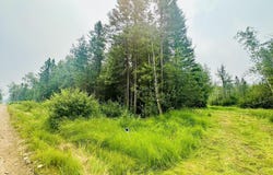 I Road, Bark River, MI 49807