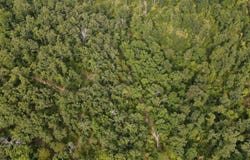 Lookout Point lot: 13, Bruner, MO 65620