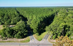 Kitchings Road, Williston, SC 29853