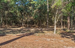 Lockhart, Pittsburg, TX 75686