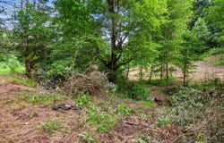 2661 Buncomb Road, Tyner, KY 40486