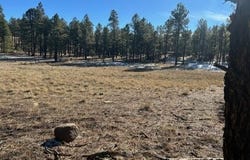 CR N2121, Alpine, AZ 85920