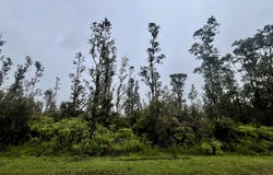 ROAD 4 (IO KEA), Mountain View, HI 96771