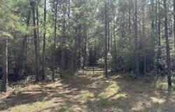 259 Forest Lake Road, Beaumont, MS 39423