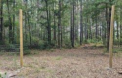 449 County Road 4851, TIMPSON, TX 75975