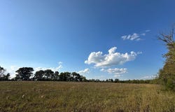 N Highway, Mountain Grove, MO 65711