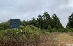 CR 2339, Marietta, TX 75566