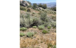 25260 Jacaranda Drive, Tehachapi, CA 93561
