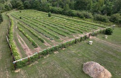 W6098 STELLING RD E, Tomahawk, WI 54487