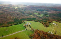 38.37 Acres Latham, Eva, AL 35621