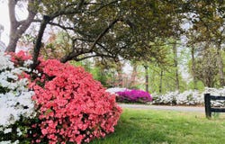 4051 FREE UNION RD, CHARLOTTESVILLE, VA 22901