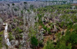 Findley Cemetery Rd, GA 30474