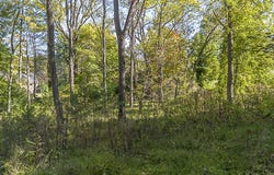 Overlook Cir, Lexington, VA 24450