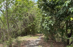 Corozal, Corozal, PR 00685