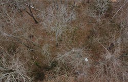 Auldearn Circle lot: 41, Bella Vista, AR 72715