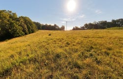 Foxden Drive Lot 3, Gainesville, MO 65655