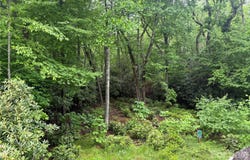 Dogwood Trail, Spruce Pine, NC 28777