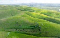 Yosemite Place, Paso Robles, CA 93446