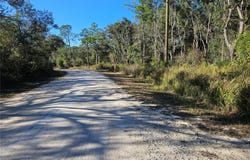 BERRYHILL Drive, WEBSTER, FL 33597