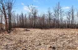 6818 460th Street, Harris, MN 55032