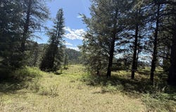FIR Ln, CURLEW, WA 99118