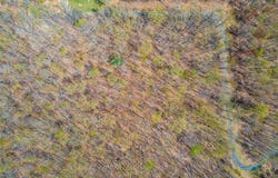 Forest Glen Road, Pine Bush, NY 12566
