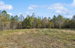 Old Mail Road lot: 31A, Duck River, TN 38454