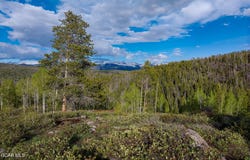 8524 Elk Run Drive, Tabernash, CO 80478