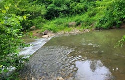 216 Lower Capuchin Rd, Winfield, TN 37892