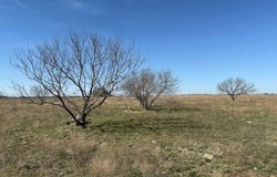 507 Pr 6271, Hamilton, TX 76531