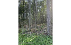 15/16 Sweet Briar Road, Pocono Pines, PA 18350