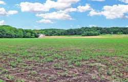 225 Valley View (Lot 29) Drive, Hawk Point, MO 63349