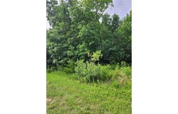 9 E Ridgewood Circle, Linn Valley, KS 66040