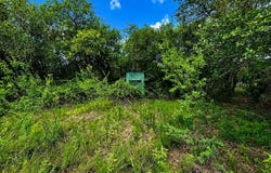 Water Oak Road, Columbus, TX 78934