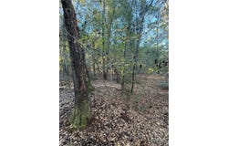 Simmons Street, Guyton, GA 31312