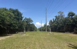 Wolfridge Road, Mobile, AL 36618