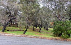 Kenneth, Cambria, CA 93428