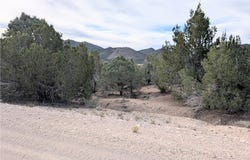 Side Hill Pass lot: 1-A, Pioche, NV 89043