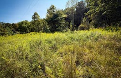 0 Worden Rd, Barton, NY 14892