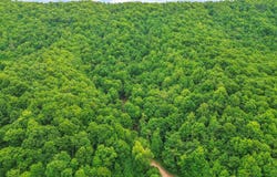 Ravens Ridge Road, Pearisburg, VA 24134