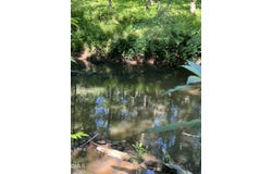 Fishing Creek Road lot: 7, Enfield, NC 27823