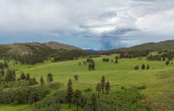 14884 Rist Canyon Rd, Bellvue, CO 80512